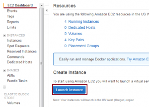 t2.nano Amazon EC2 Instance