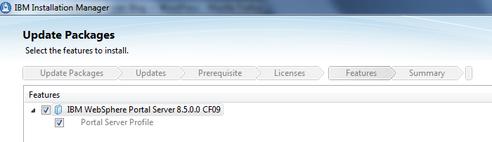 Websphere Portal server v8.5 CF09 Update