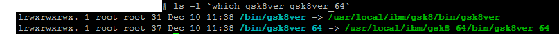 GSKit V8 version details on Linux