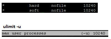 -bash: fork: retry: Resource temporarily unavailable
