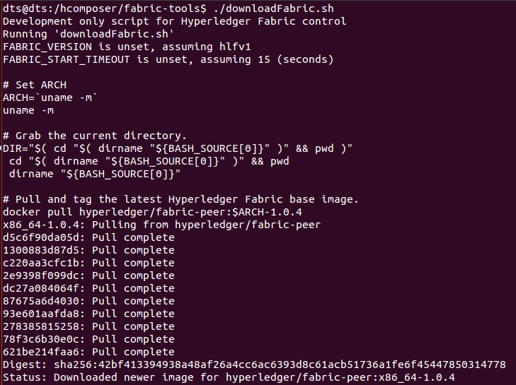 Hyperledger Composer Installation process